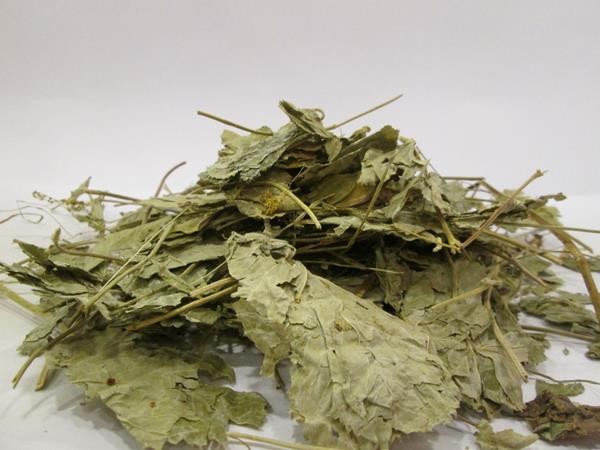 1 Aybaşı dövründə ağrı və krampları azaltmağa kömək edir. Menstruasiya dövründə rahatlıq və sakitlik verir.