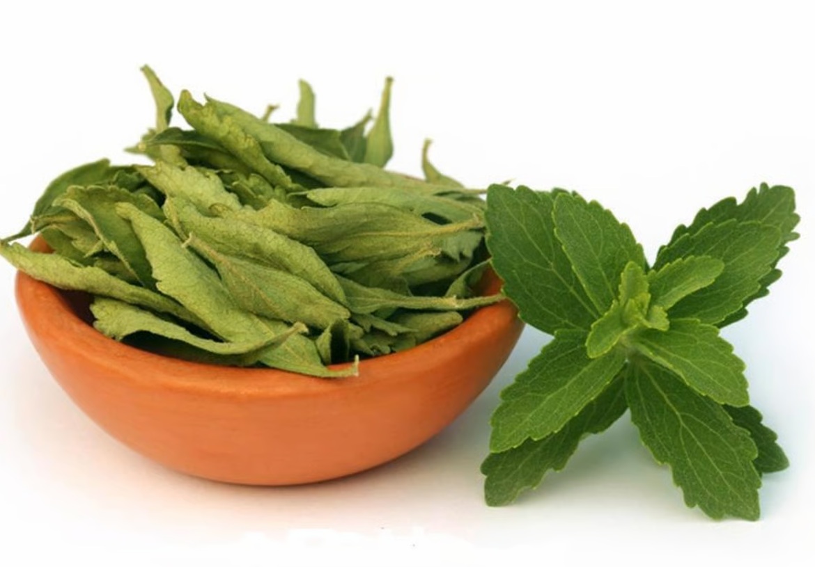 1 Stevia bitkisi sağlam qidalanma baxımından dəyərlidir.